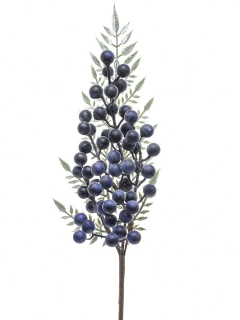 Branch with pomegranate fruits(132442)