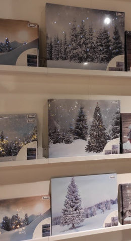 Obraz LED canvas ŁAWKA W PARKU (485486)