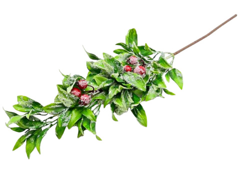 Gałązka zielona 60cm z dziką różą szroniona (CV25184) Gałązka zielona 60cm z dziką różą szroniona (CV25184)