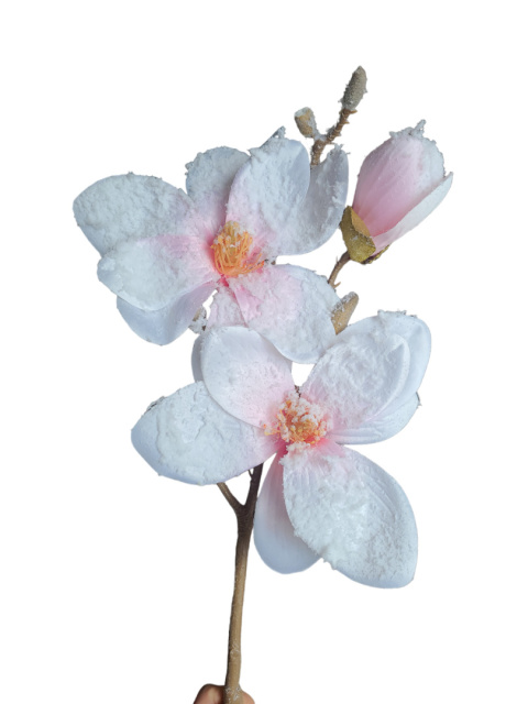 Magnolie śnieżone na gałązce dł.43*fi21cm (CV17298-2)