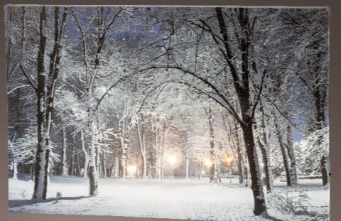 Obraz LED canvas PARK(485485) Obraz LED canvas PARK(485485)