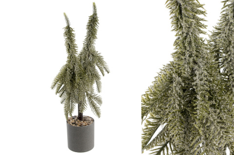 Podwójna choinka ośnieżona w doniczce 68cm (OZB07026) Podwójna choinka ośnieżona w doniczce 68cm (OZB07026)