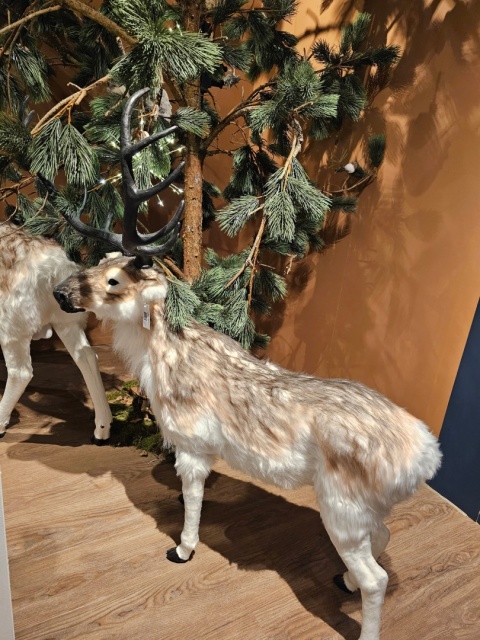 Standing reindeer, very large, fur, light beige, 177x150x56cm (720026) Standing reindeer, very large, fur, light beige, 177x150x56cm (720026)