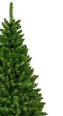 Colorado PVC green Christmas tree 240cm (DC1042)L