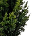 PE tree 60cm in pot (RF0613) PE tree 60cm in pot (RF0613)