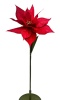 Flower poinsettia "Gigant" standing 105 cm (RF0998)