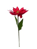 Kwiat gwiazda betljemska "Gigant" 90cm (RF1001)