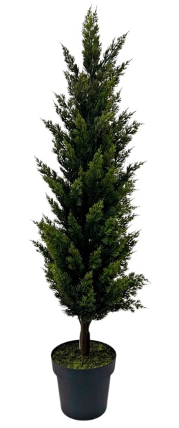 PE cypress tree 120cm in pot (RF0615)