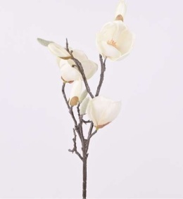 Gałązka magnolia ecru 58cm (CV36636-1)