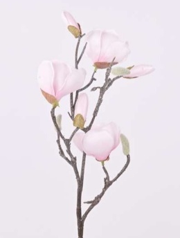 Gałązka magnolia różowa 58cm (CV36636-2)