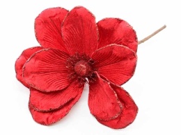 Magnolia na piku bordo welur czerwony brokat (CV34196-5)