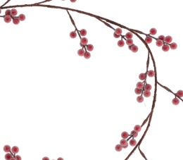 Garland 150cm red sugar fruits (511552)