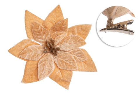 Poinsecja welur beż fi 16cm na klipsie (PON00674)