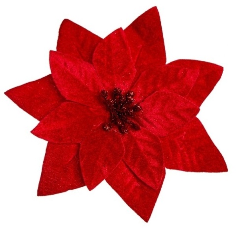 Red velvet poinsettia, 16cm diameter, on a clip (PON00678)
