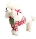 White standing poodle in sweater (519227)